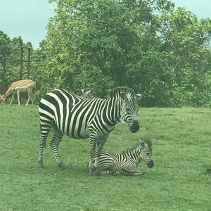 Meet your Posher, Ana